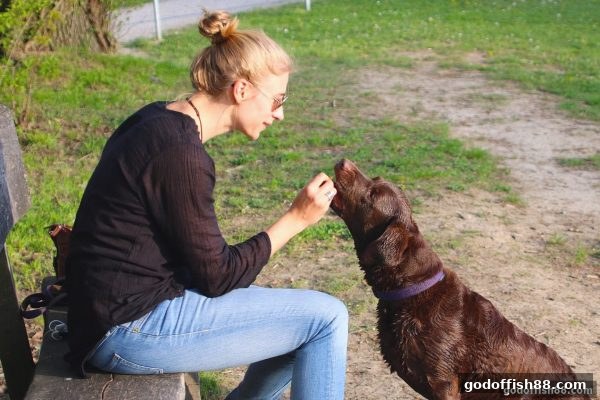 英雄联盟竞猜合规新视角：财神捕鱼带你解析电子娱乐法律红线