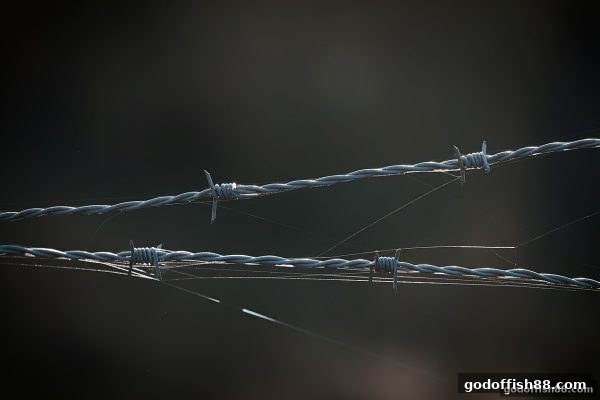 财神捕鱼揭秘：赛果统计如何重塑游戏安全意识