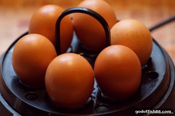 财神捕鱼：快捷支付街机游戏全维度玩法与平台对比指南